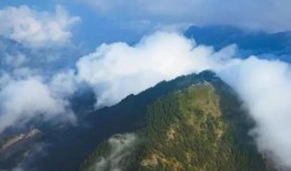 青山最新爆料新闻视频