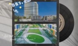 合肥加油爆料视频最新,揭秘城市新动态与民生焦点